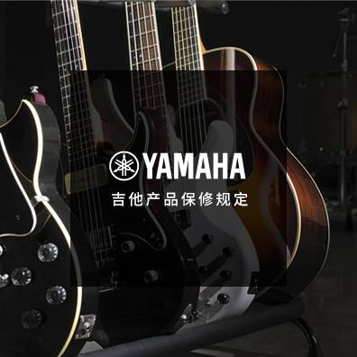 吉他、贝斯和音箱