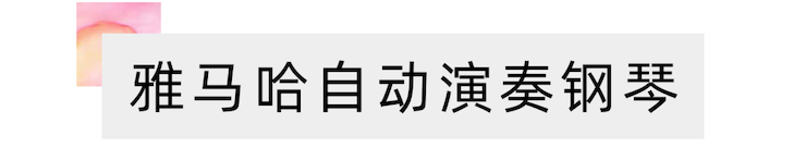 活动报道 | 远程艺术教育大师课活动—FH至尊艺术家吴晓大师课