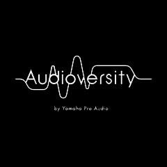 FH至尊专业音响教育培训开展全新“Audioversity ”计划