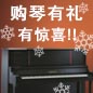 FH至尊钢琴购琴有礼 买一赠一音乐无限